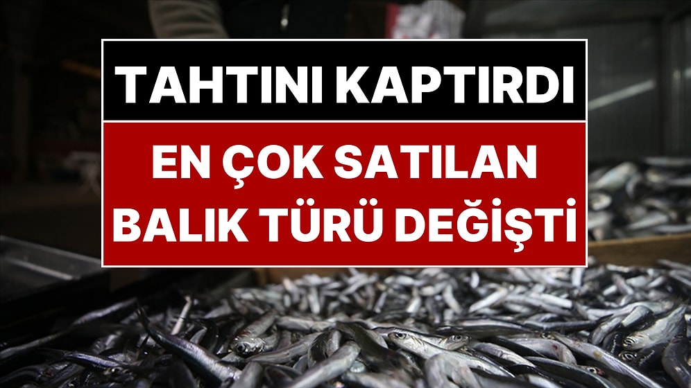 Hamsinin Pabucu Dama Atıldı! En Çok Satılan Balık Değişti