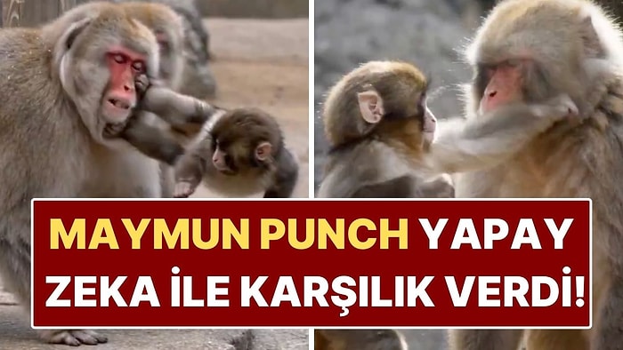 Son Videosuyla Kalpleri Dağlamıştı! Maymun Punch'a Yapılan Yapay Zeka Videosu Yüreklere Su Serpti