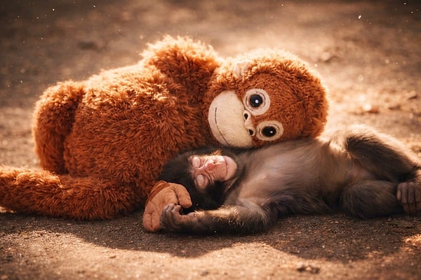 Biz Neye Sarılıyoruz?