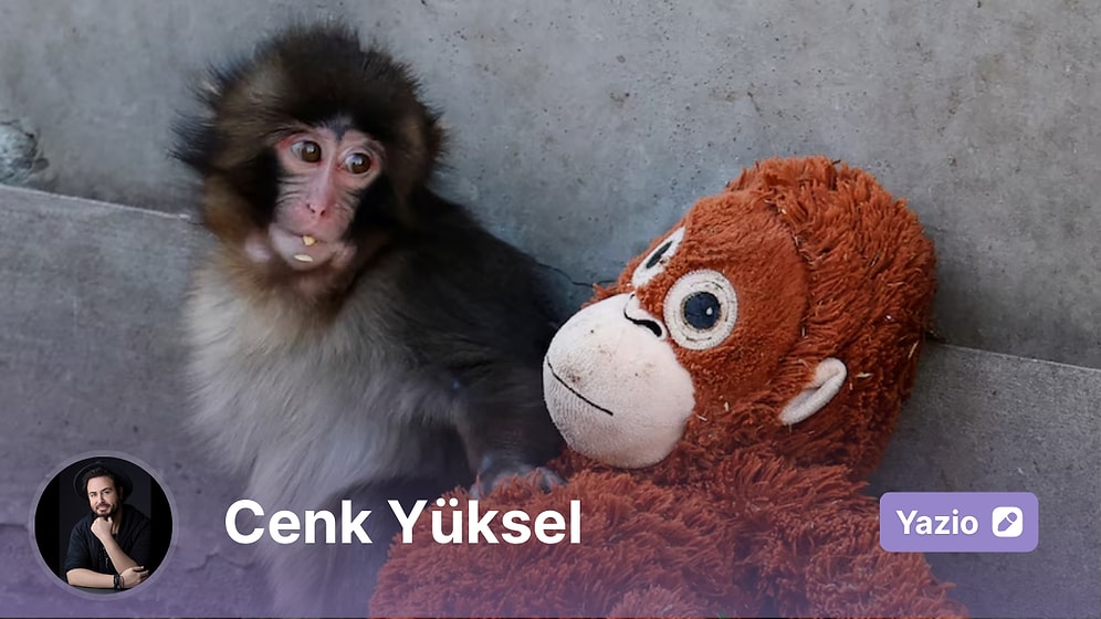 Oyuncak Bir Orangutanın Öğrettiği Şey: İnsan Kalmayı Hala Biliyor Muyuz?