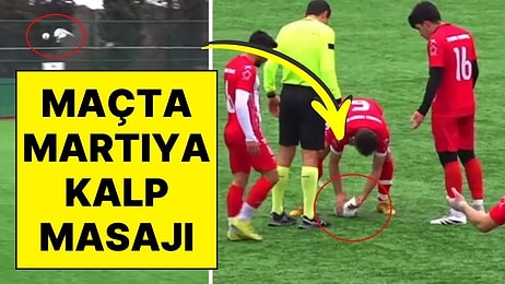 Maç Durdu, İnsanlık Kazandı! Maçta Çekilen Şut Martıya Çarptı, Futbolcular Kalp Masajı Yaptı