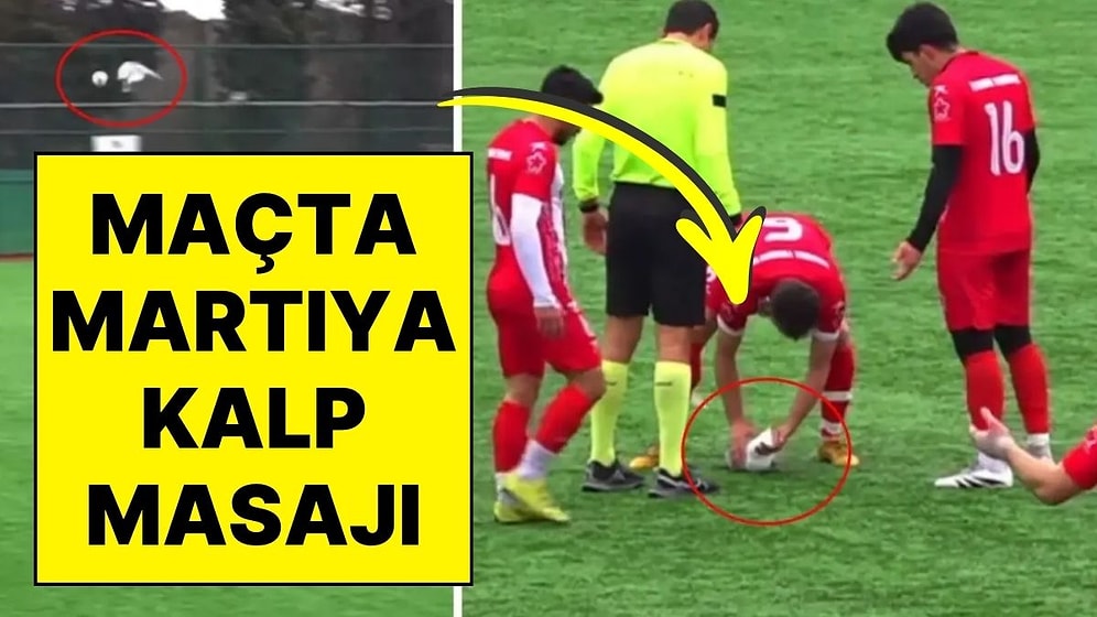 Maç Durdu, İnsanlık Kazandı! Maçta Çekilen Şut Martıya Çarptı, Futbolcular Kalp Masajı Yaptı