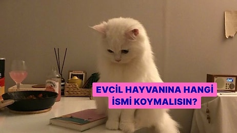 Bu Kişilik Testine Göre Evcil Hayvanına Hangi İsmi Koymalısın?