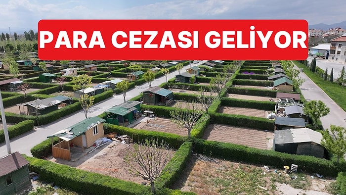 Tarım Arazilerine Kurulan Hobi Bahçelerine Yaptırım Geliyor