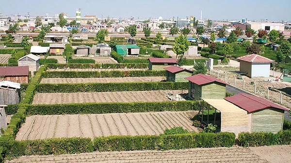 33 maddelik tarım düzenlemesi geliyor.