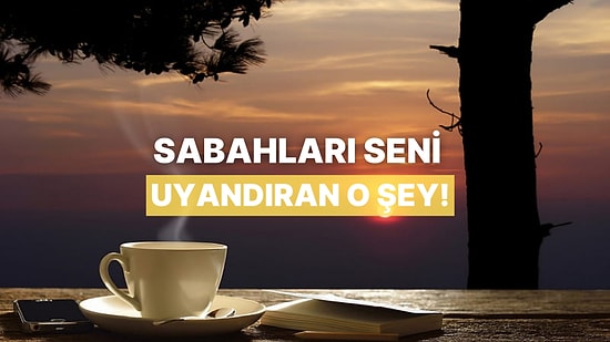 Sabahları Seni Uyandıran Şey Ne?