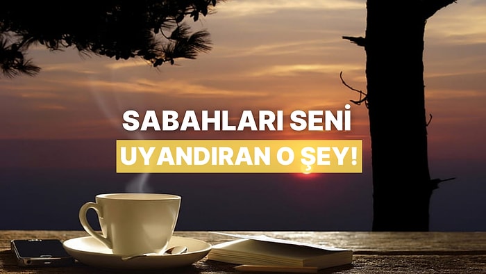 Sabahları Seni Uyandıran Şey Ne?