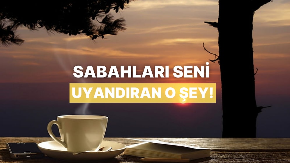 Sabahları Seni Uyandıran Şey Ne?