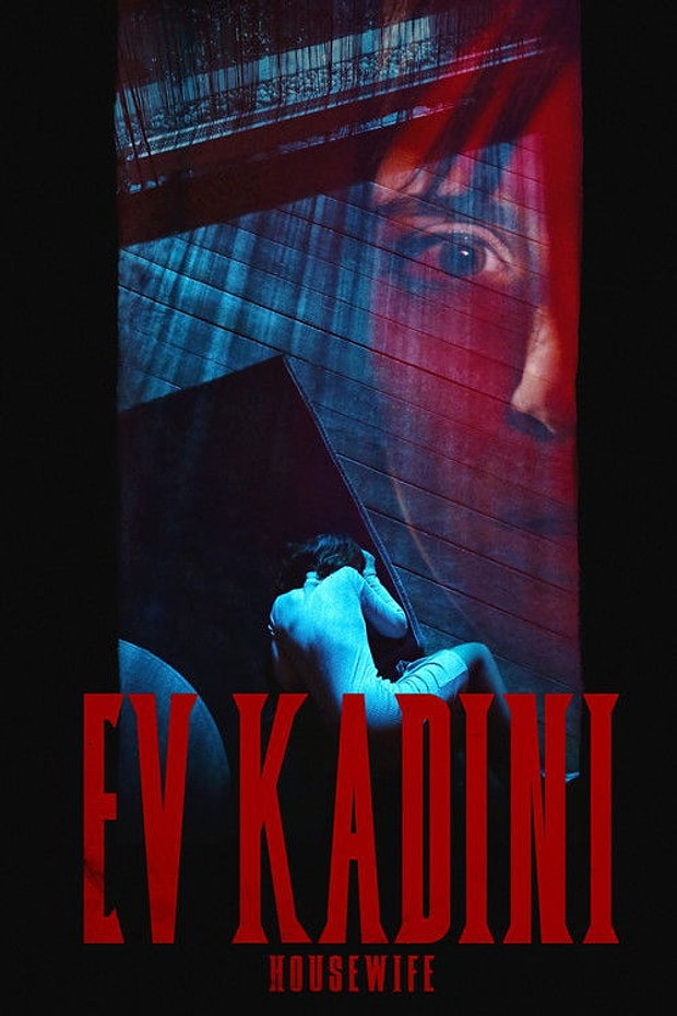 Ev Kadını Posteri