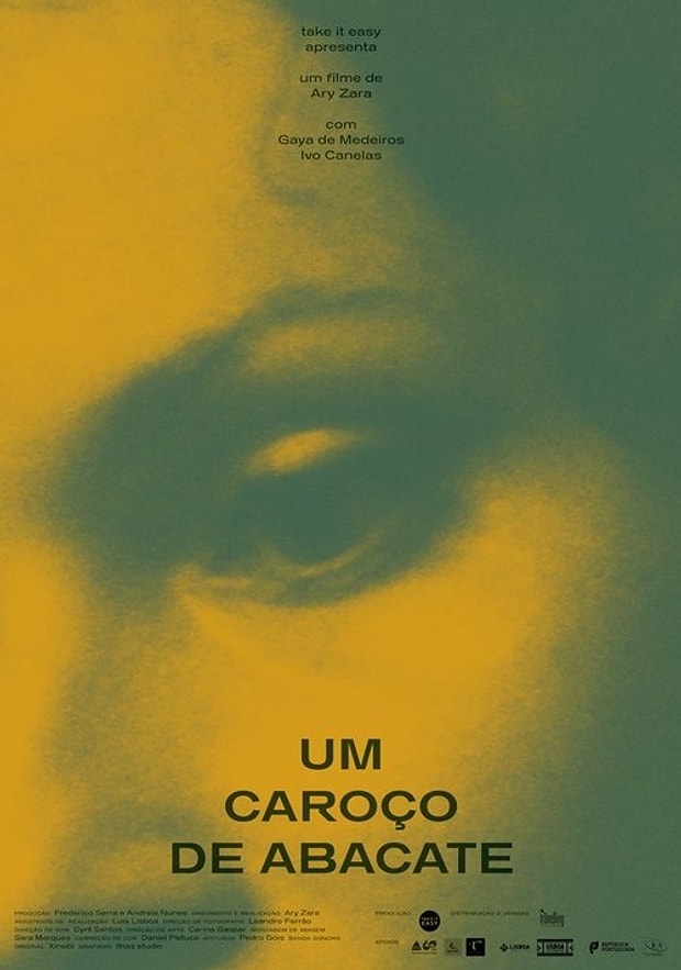 Um Caroço de Abacate Posteri