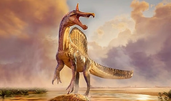 Keşif süreci 2019 yılında kumlar arasından çıkarılan kılıç biçimli dev kemikle başladı