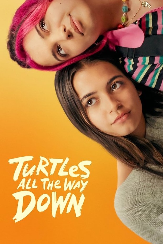 Turtles All the Way Down Posteri