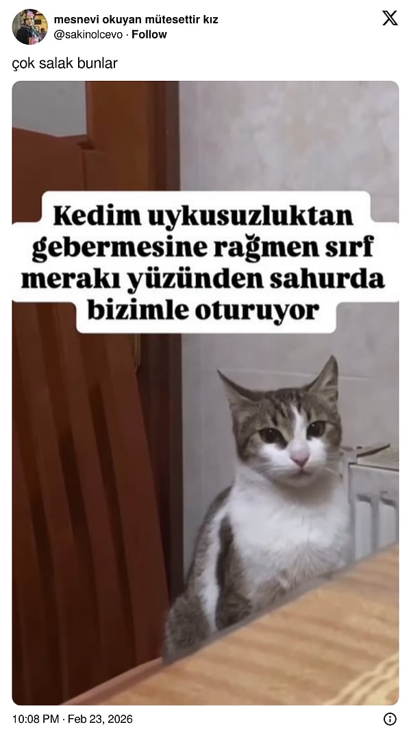 Meraklarının sınırı yok...
