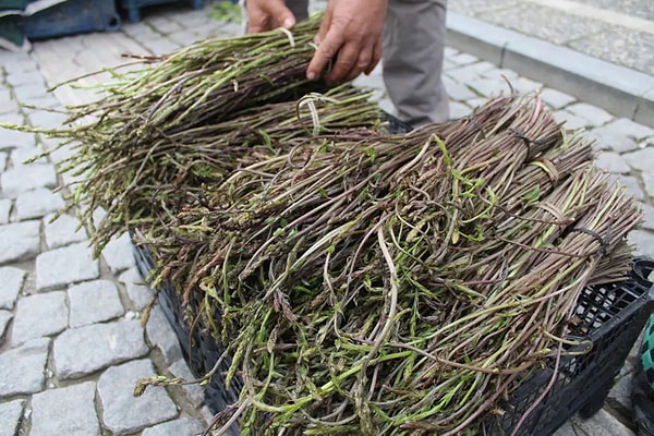 Baharın gelmesiyle kedirgen, pazar tezgahlarındaki yerini aldı.