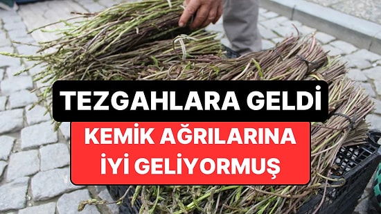 Kemik Ağrılarına İyi Gelen Şifalı "Kedirgen" Otu Pazar Tezgahlarına Çıktı