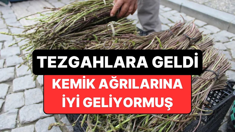 Kemik Ağrılarına İyi Gelen Şifalı "Kedirgen" Otu Pazar Tezgahlarına Çıktı