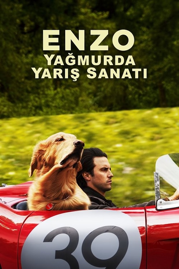 Enzo: Yağmurda Yarış Sanatı Posteri