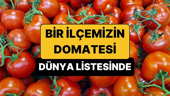 Dünyanın En İyi Domatesleri Açıklandı: Bir İlçemizin Domatesi Dünya Listesine Girdi!