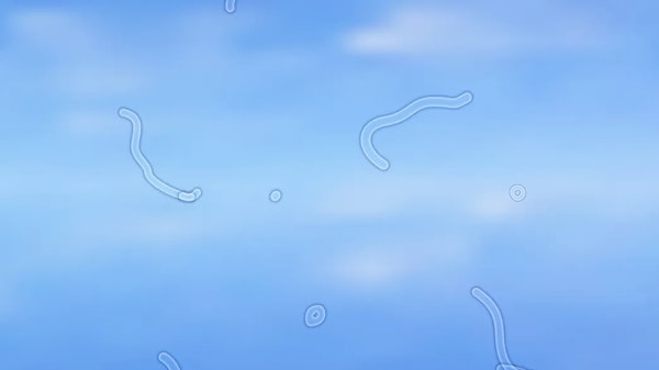 Göz içinde gerçekten dolaşan parçacıklar var