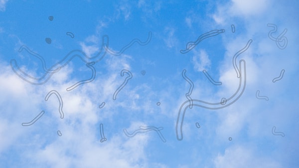 Vitreus sıvısı genç yaşlarda daha homojen yapıdadır.