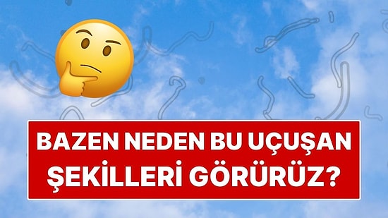 Gözümüzün Önünde Neden Bazen Uçuşan Şekiller Görürüz?