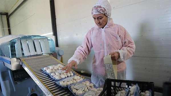 İzgi’nin 2 bin 540 metrekarelik bir alana inşa ettiği tesis, Avrupa Birliği kriterlerine uygun yapısıyla dikkat çekiyor.