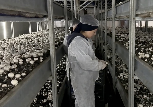 Tesiste kadın istihdamı ve yerel kalkınma ele ele.