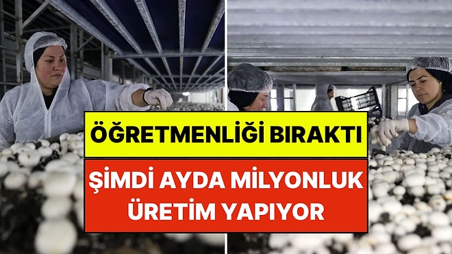 Öğretmenliği Bırakıp Mantar Üreticisi Oldu: Ayda Milyon Liralık Üretim Yapıyor