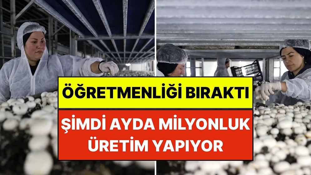 Öğretmenliği Bırakıp Mantar Üreticisi Oldu: Ayda Milyon Liralık Üretim Yapıyor