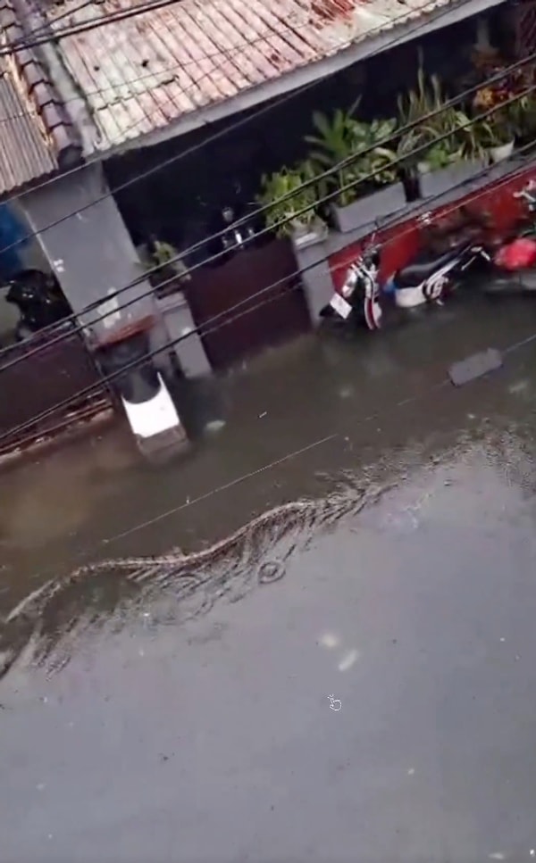 Bali, şiddetli yağışlar nedeniyle sular altında kaldı.