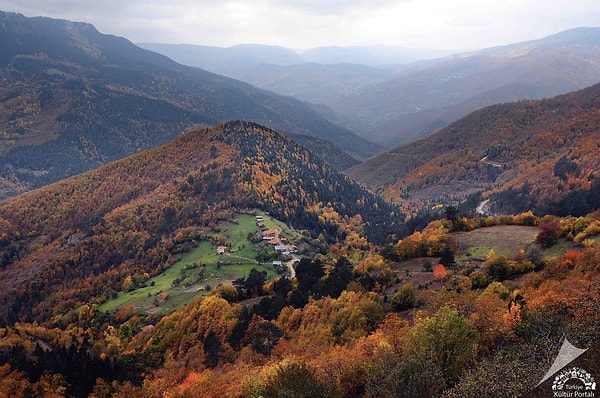 7. Yeşilin Her Tonu: Küre Dağları