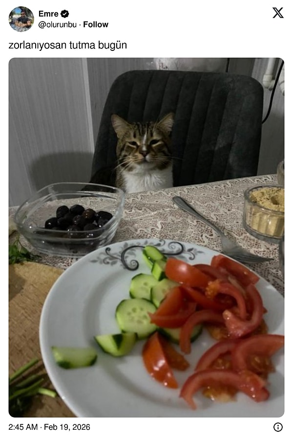 Bunların merakları asla bitmiyor...