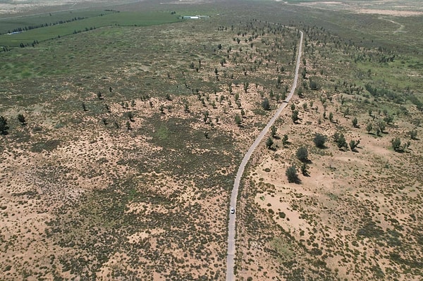 Karbon emilimi yalnızca bitkilerle sınırlı değil, çöl kumu da sürece katkı sağlıyor