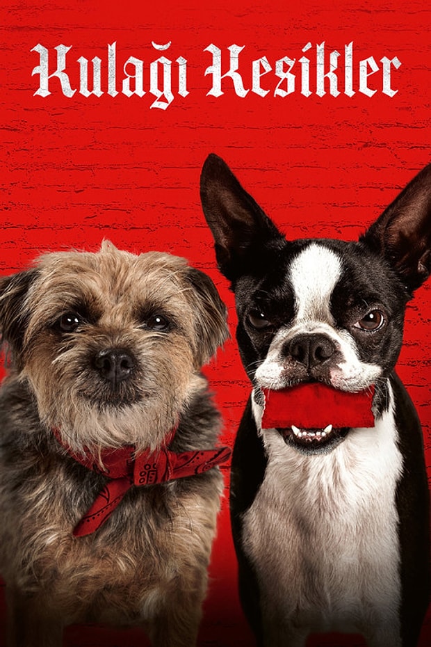 Kulağı Kesikler Posteri