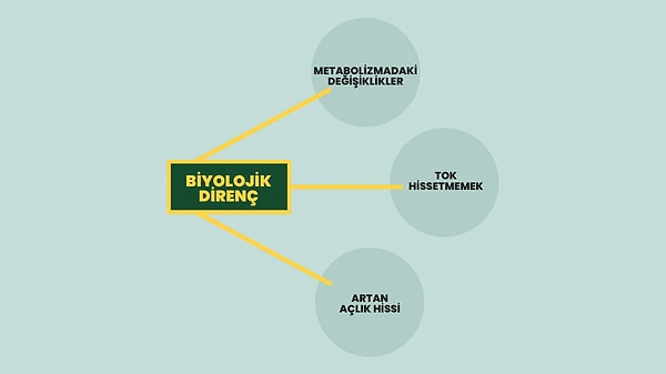Verdiğimiz kilolar neden geri geliyor?
