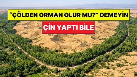 Çin Koca Çölü Ormana Dönüştürdü: Ülkenin Havasını Temizliyor!