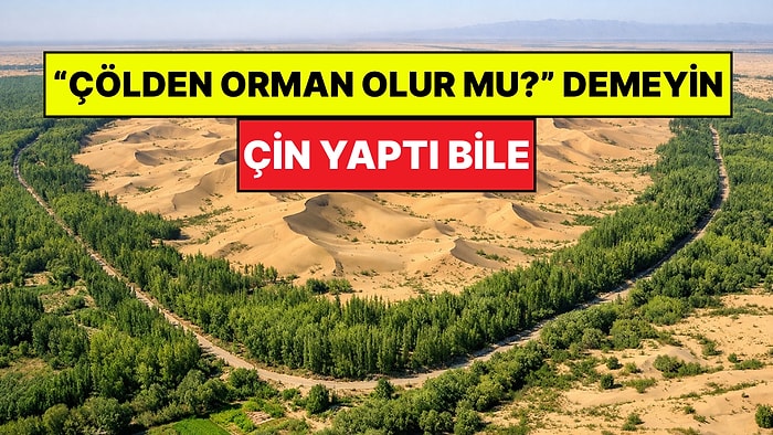 Çin Koca Çölü Ormana Dönüştürdü: Ülkenin Havasını Temizliyor!