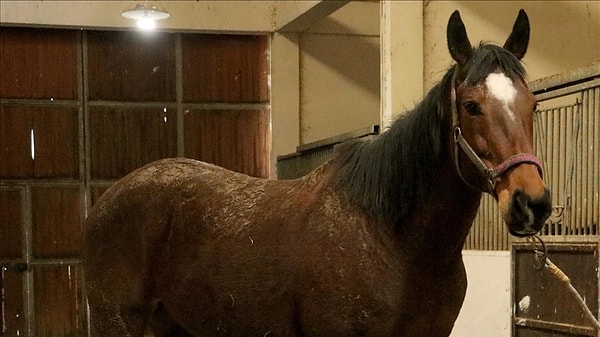 İBB soruşturmasında el konulmuştu.