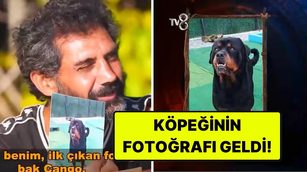 Survivor'da İletişim Ödülünü Kazanan Bayhan'a Köpeği Cango'dan Sürpriz