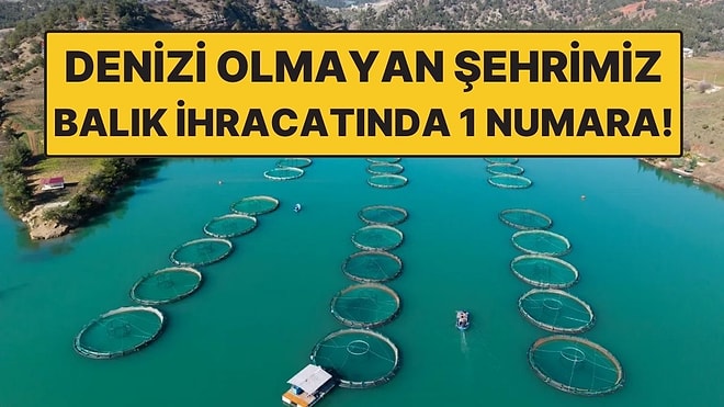 Denizi Yok Ama Somon Üretiyorlar: Yurt Dışından Yoğun Talep Var!