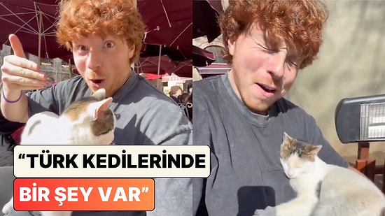 Ülkemizi Gezen Bir Turist Kafede Bir Anda Kucağına Oturan Kediyi Paylaştı: "Kediler Ülkesine Hoş Geldiniz"