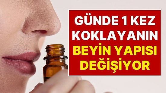 Hafızayı Güçlendiren Doğal Mucize! Günde Bir Kez Bu Kokuyu Koklayanların 30 Günde Beyin Yapısı Değişiyor