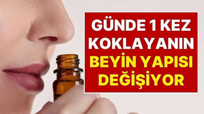 Hafızayı Güçlendiren Doğal Mucize! Günde Bir Kez Bu Kokuyu Koklayanların 30 Günde Beyin Yapısı Değişiyor