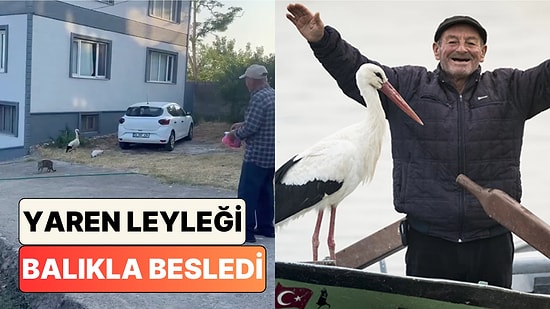 Adem Amcanın 15. Senesinde de Yuvasına Dönen Yaren Leyleği Balıkla Beslediği Anlar Kalpleri Isıttı