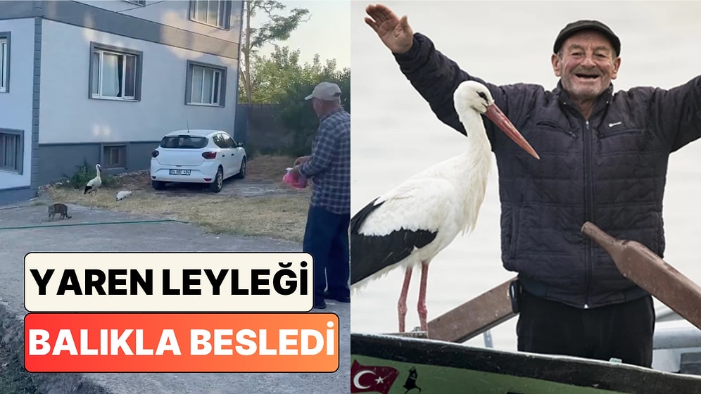 Adem Amcanın 15. Senesinde de Yuvasına Dönen Yaren Leyleği Balıkla Beslediği Anlar Kalpleri Isıttı