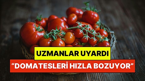 Domatesleri Buzdolabına Koymanın Hiç Tahmin Etmediğiniz Zararı Açıklandı