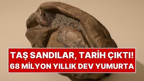 Antarktika’da Bulunan 68 Milyon Yıllık Dev Yumurta Gizemini Koruyor