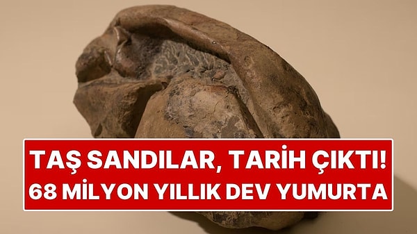 Antarktika’da Bulunan 68 Milyon Yıllık Dev Yumurta Gizemini Koruyor