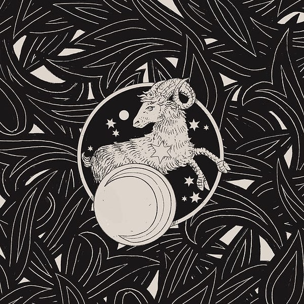 Aries: It's Not About Speed, It's About Timing