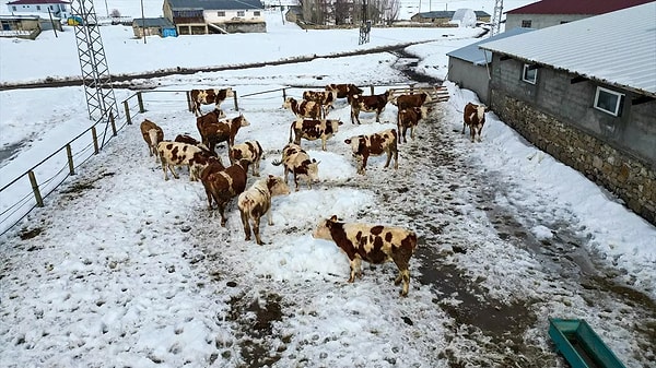 İstanbul'da orta ile üst düzey yöneticilik görevlerinde bulunuyordu.